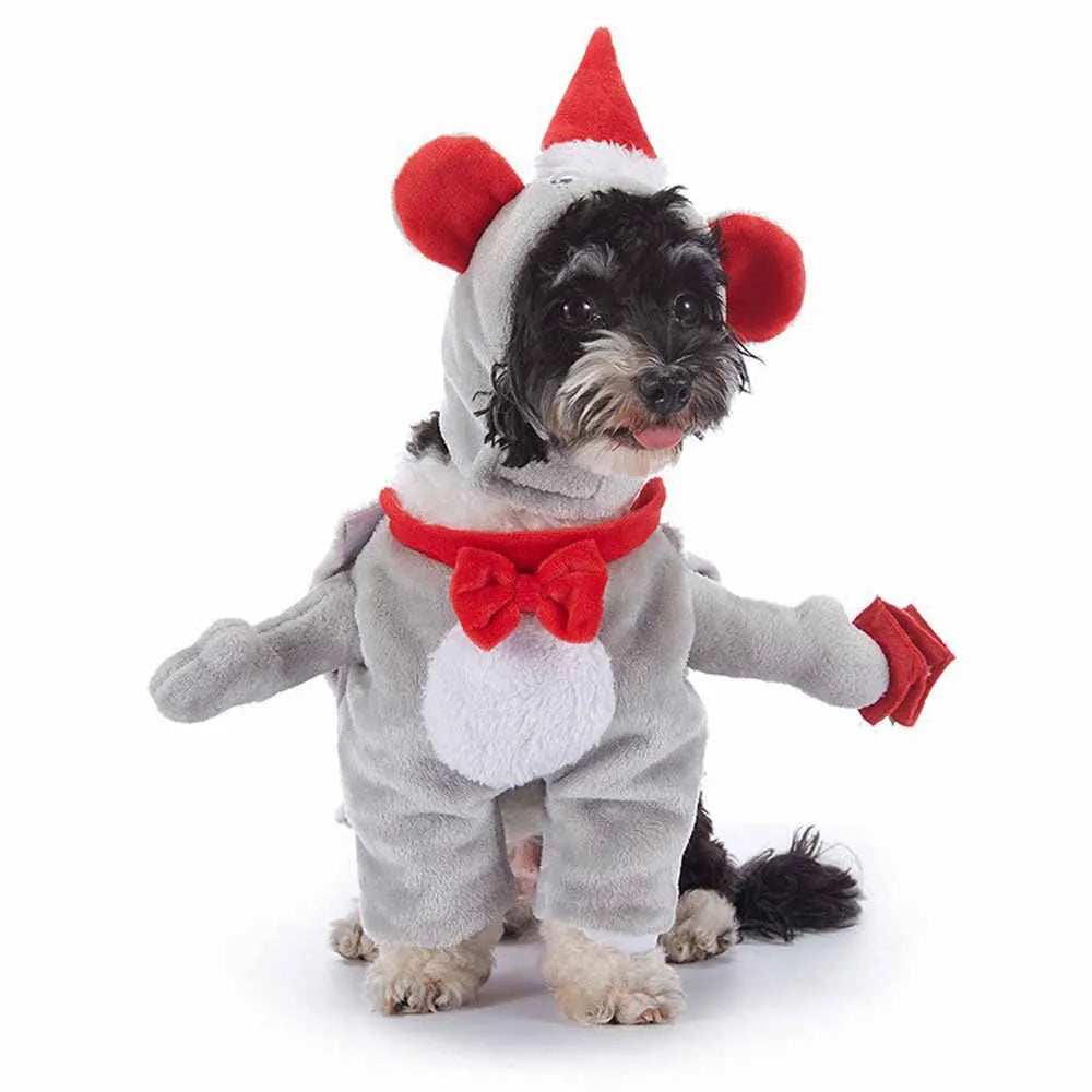Costume Halloween Pet
