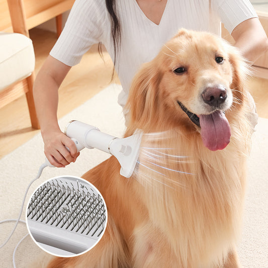 Pet Dryer &amp; Brush