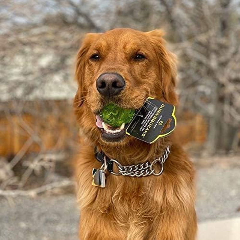 Durasqueak Dog Ball Toy, Interactive, Floats, Squeaks, Dog Balls for Fetching, Alternative to Traditional Tennis Balls - for All Breeds