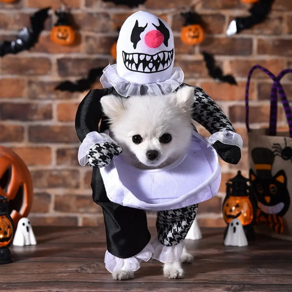 Halloween Pet Costume
