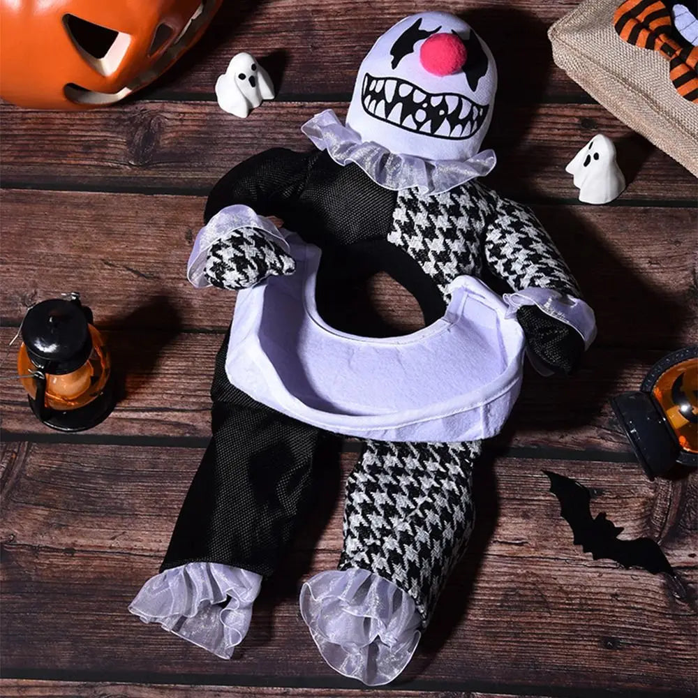 Halloween Pet Costume