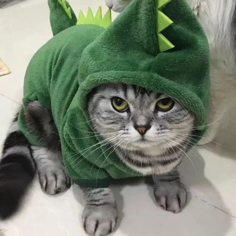 Halloween Costume for Cats