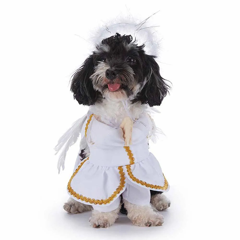 Costume Halloween Pet