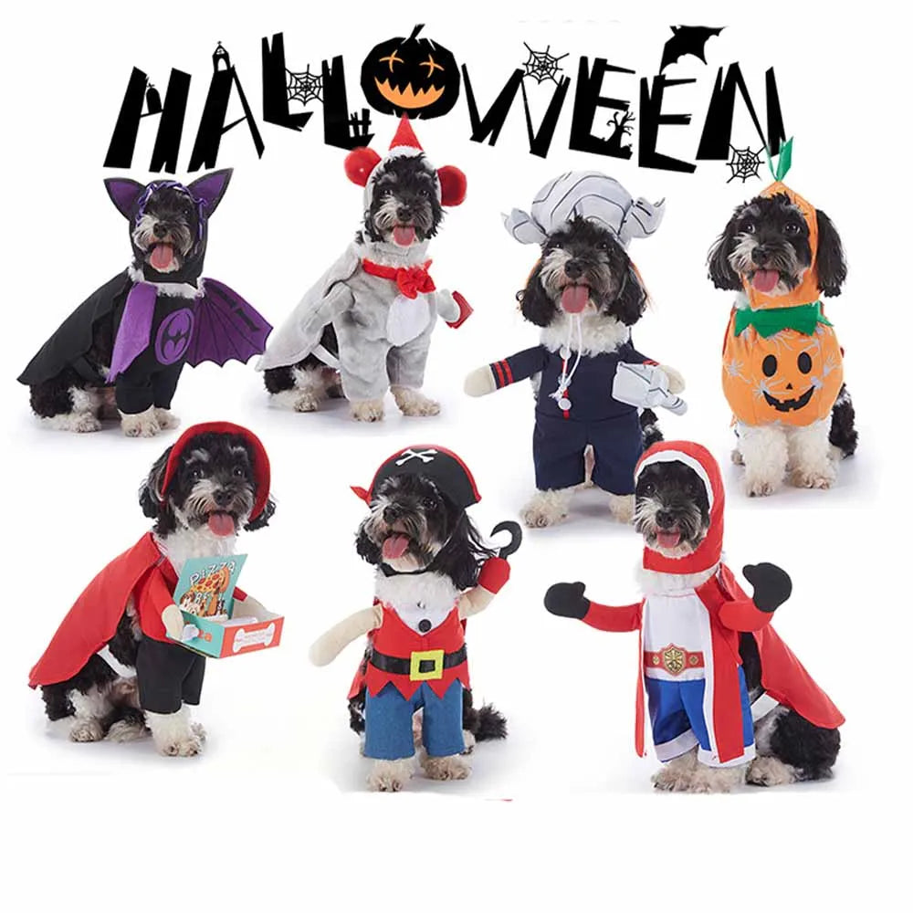 Costume Halloween Pet