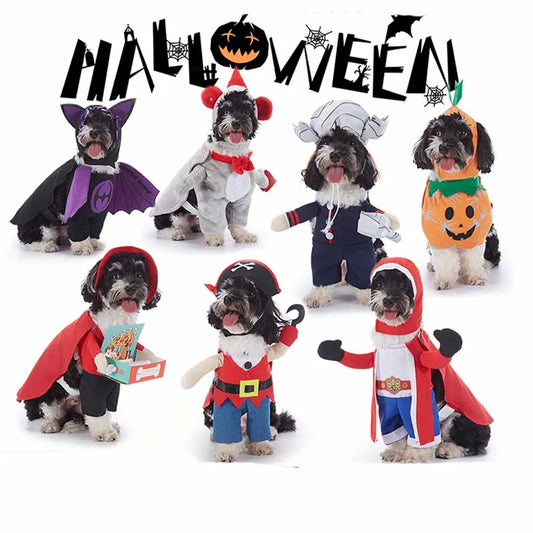 Costume Halloween Pet