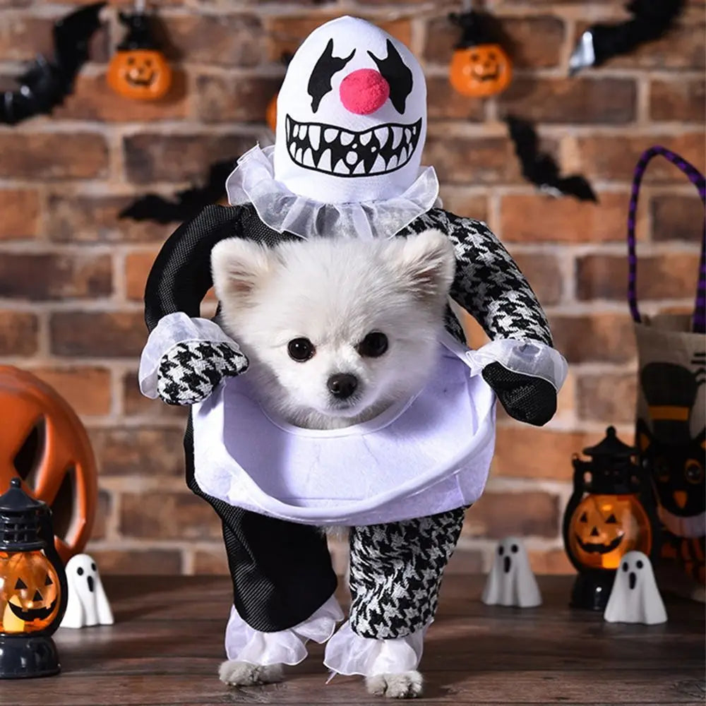 Halloween Pet Costume
