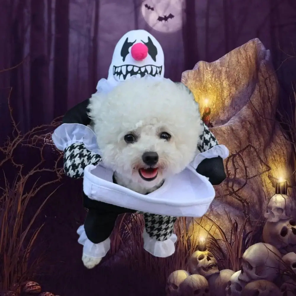 Halloween Pet Costume