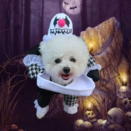 Halloween Pet Costume