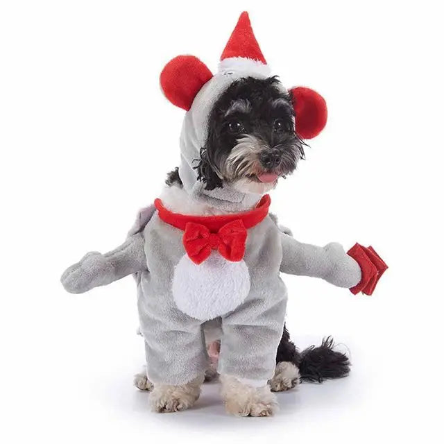 Costume Halloween Pet