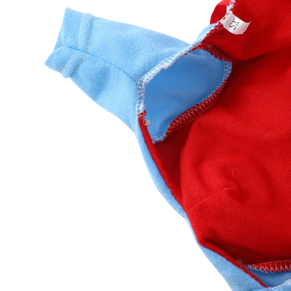 Chucky-Inspired Dog Costume