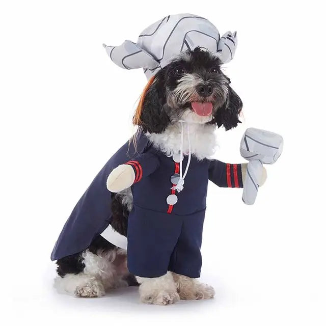 Costume Halloween Pet
