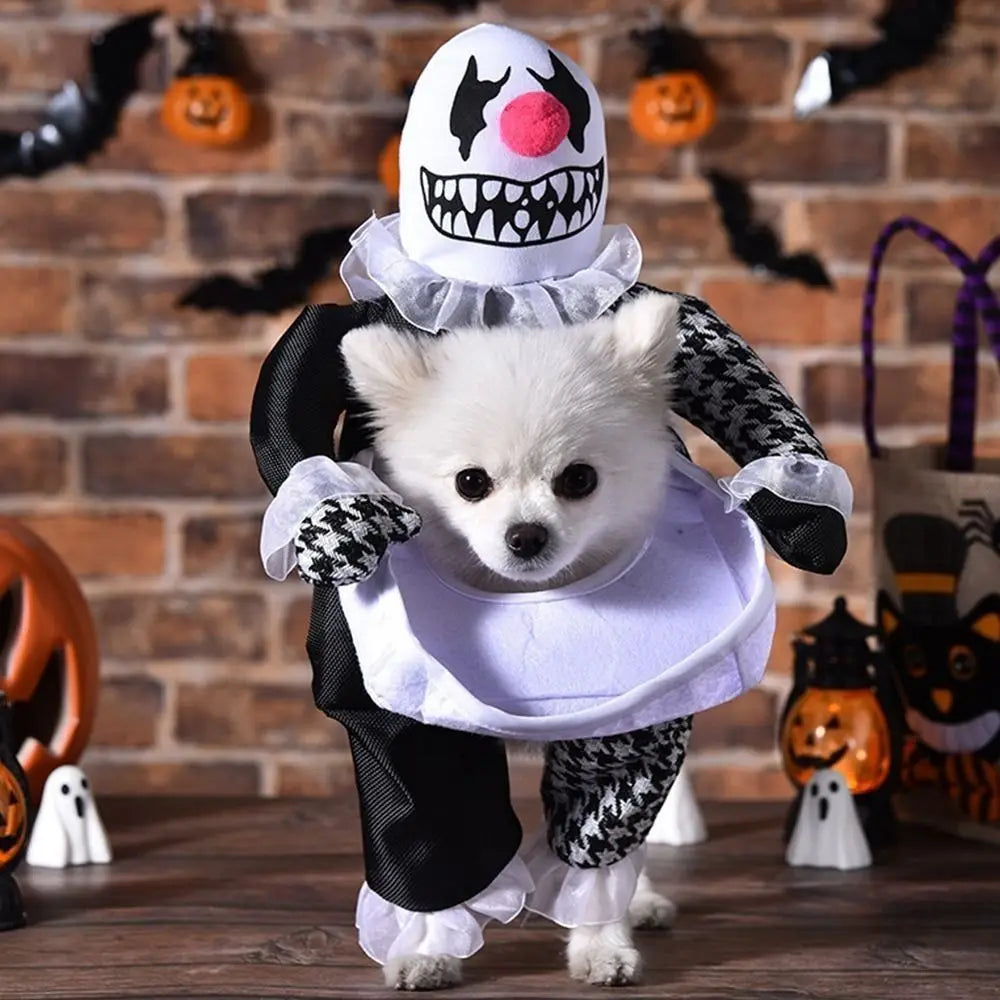 Halloween Pet Costume