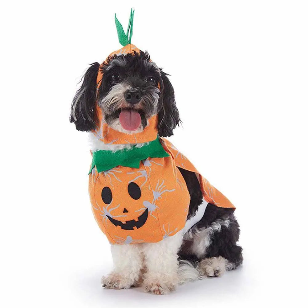 Costume Halloween Pet