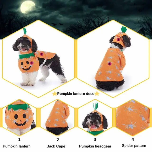 Costume Halloween Pet