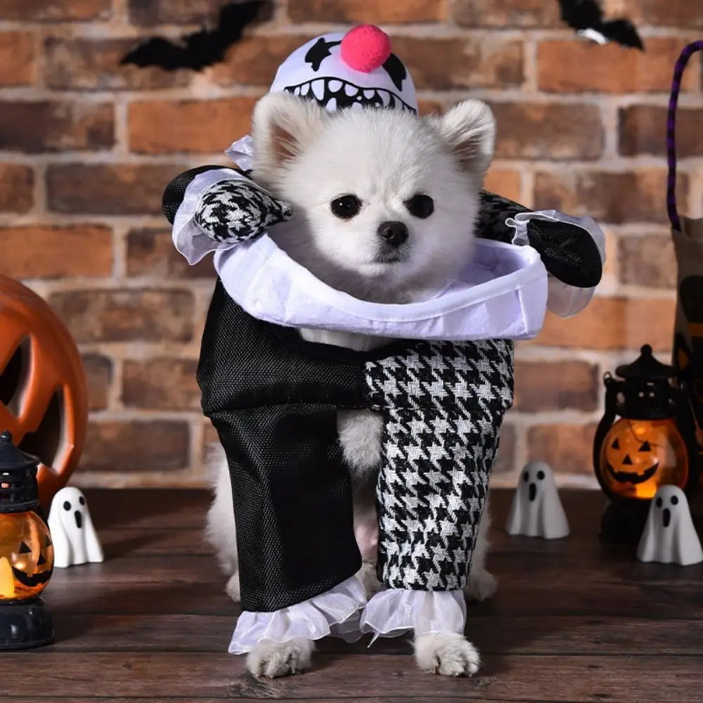 Halloween Pet Costume