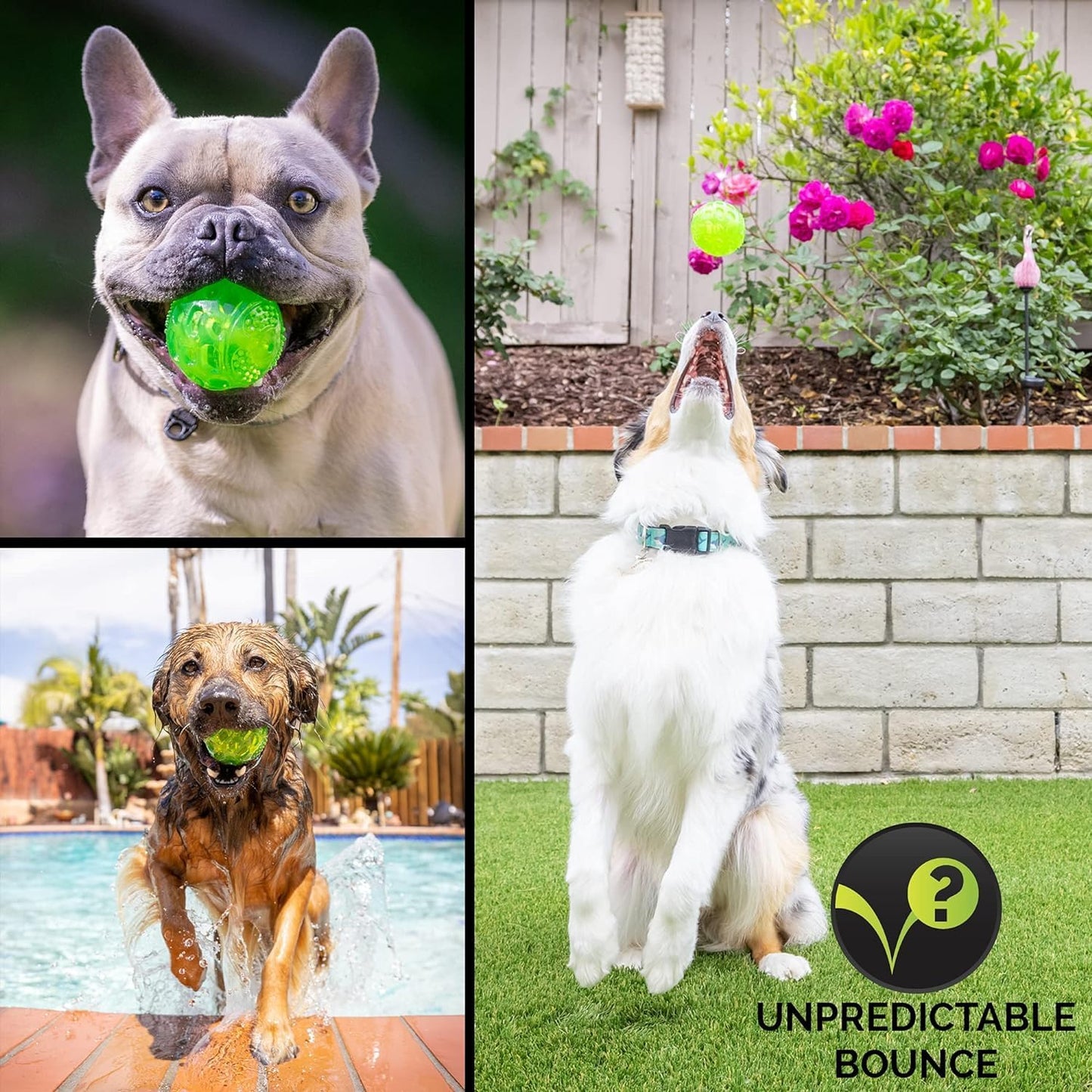 Durasqueak Dog Ball Toy, Interactive, Floats, Squeaks, Dog Balls for Fetching, Alternative to Traditional Tennis Balls - for All Breeds