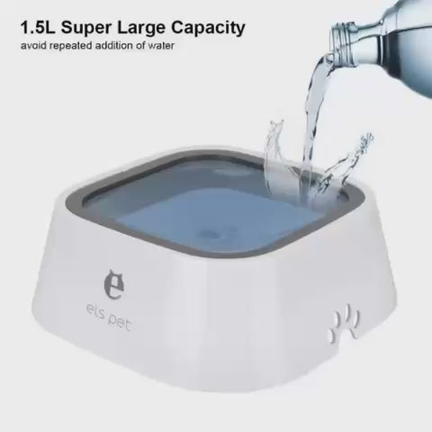 Automatic Water Fountain